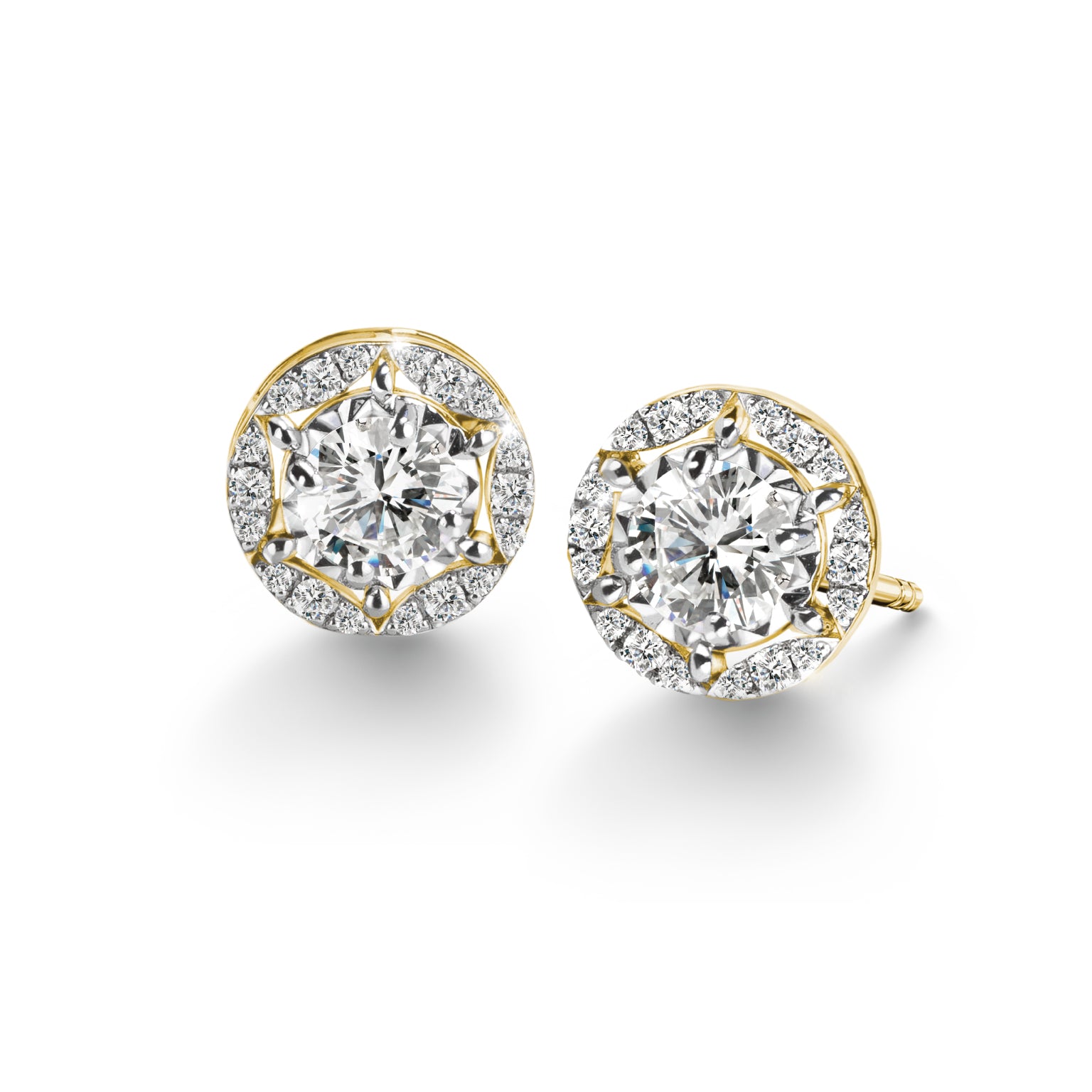 Dazzling Duet Halo Earring